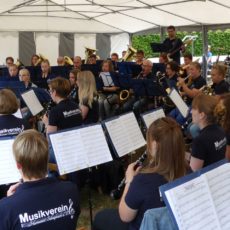 Pop & Rock Konzert im Schapbacher Waldfreibad